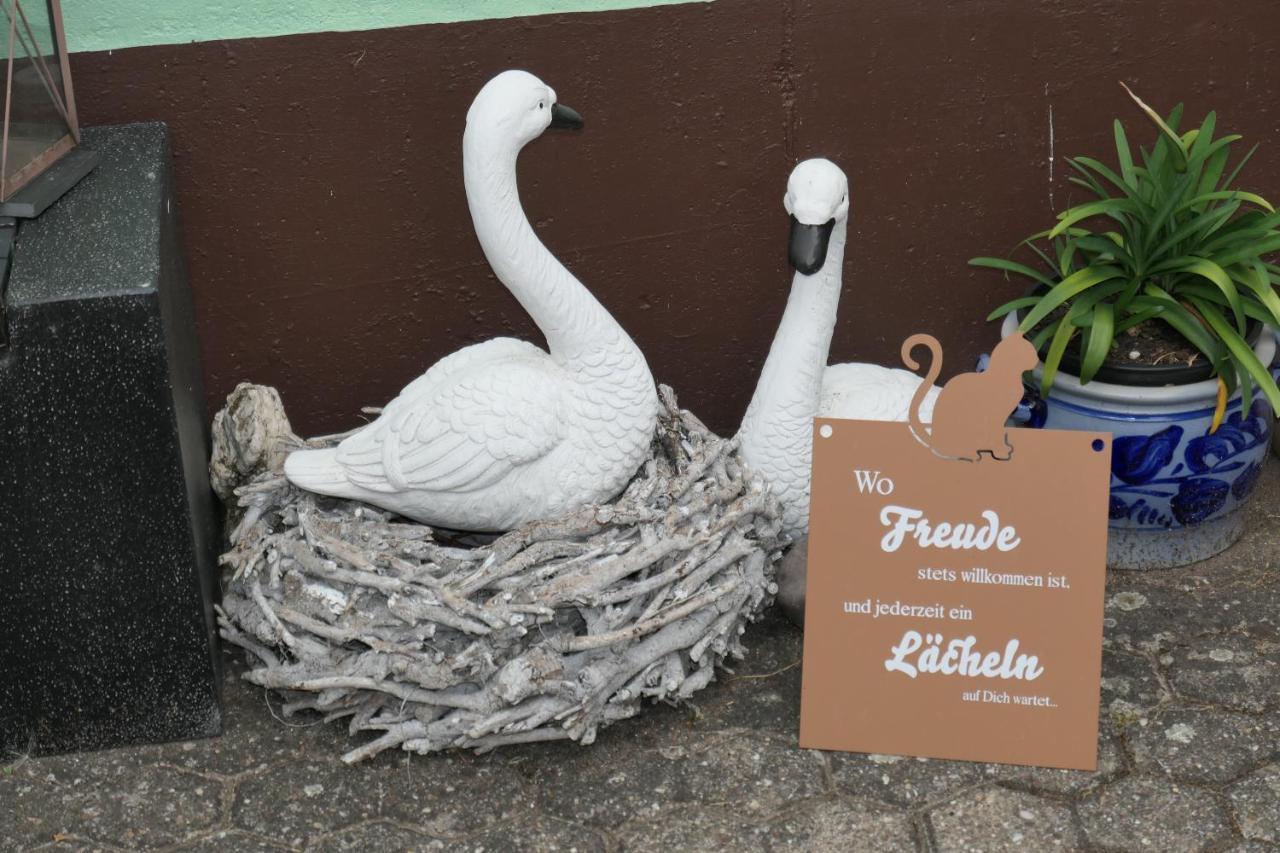 Ferienwohnungen Im Moseltal Löf エクステリア 写真