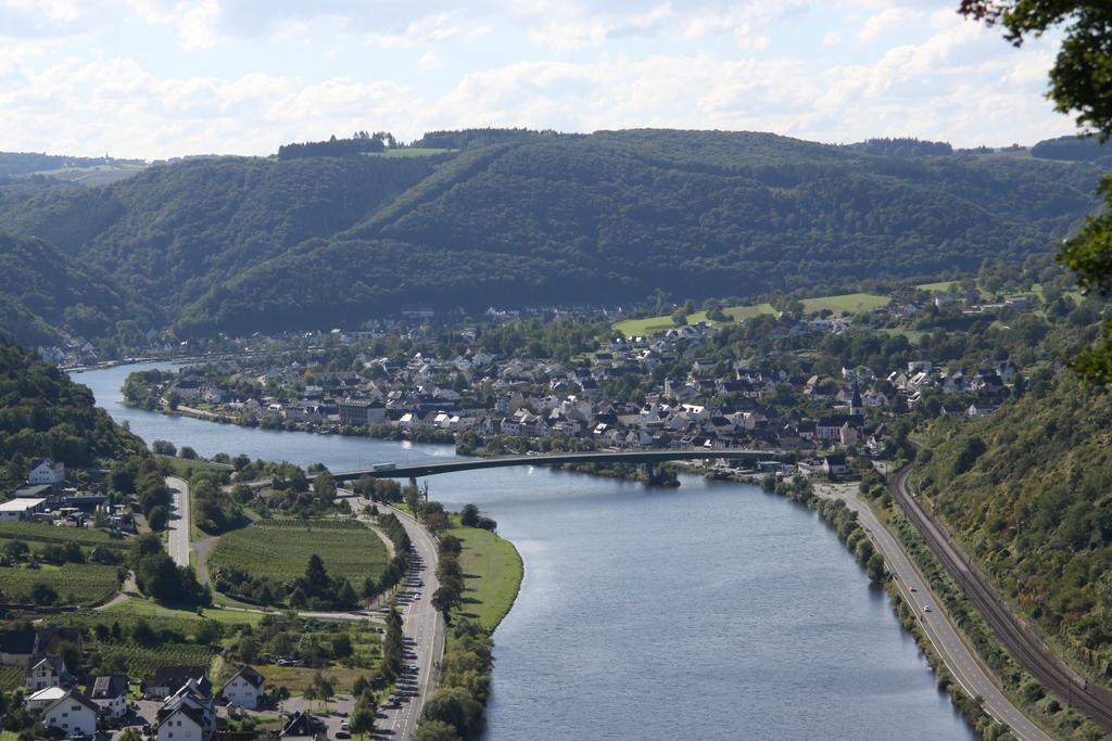 Ferienwohnungen Im Moseltal Löf エクステリア 写真
