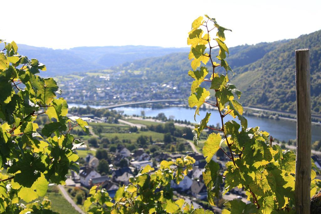 Ferienwohnungen Im Moseltal Löf エクステリア 写真