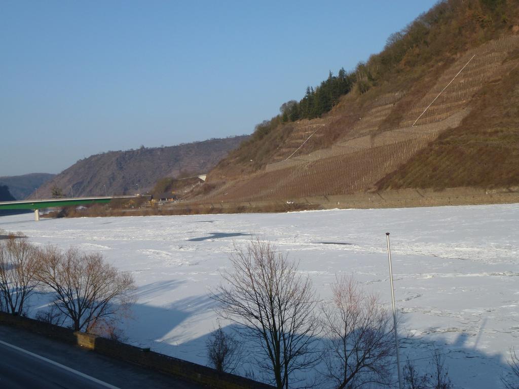 Ferienwohnungen Im Moseltal Löf エクステリア 写真