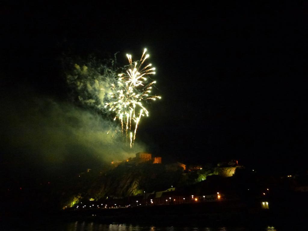 Ferienwohnungen Im Moseltal Löf エクステリア 写真