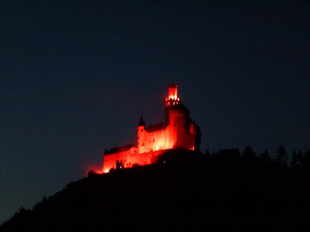 Ferienwohnungen Im Moseltal Löf エクステリア 写真