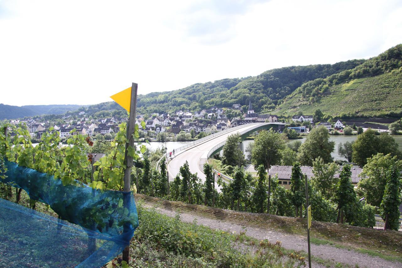 Ferienwohnungen Im Moseltal Löf エクステリア 写真