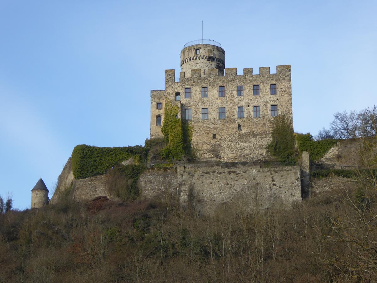 Ferienwohnungen Im Moseltal Löf エクステリア 写真